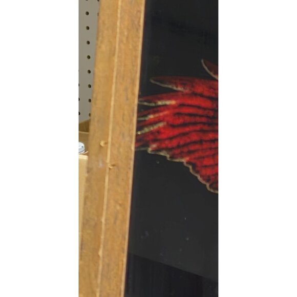 Vintage "Live To Ride" Framed Art With Eagle Design - Picture 4 of 5